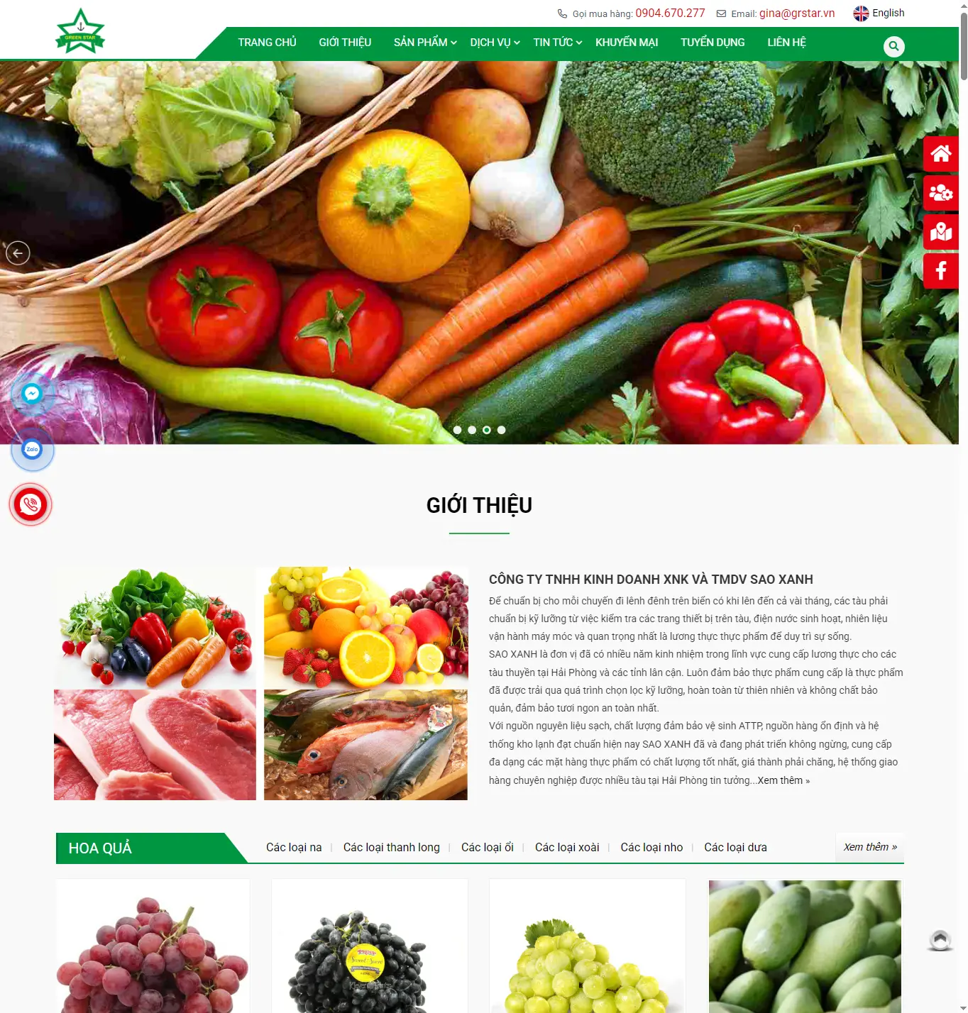 Thiết kế web Công ty Sao Xanh