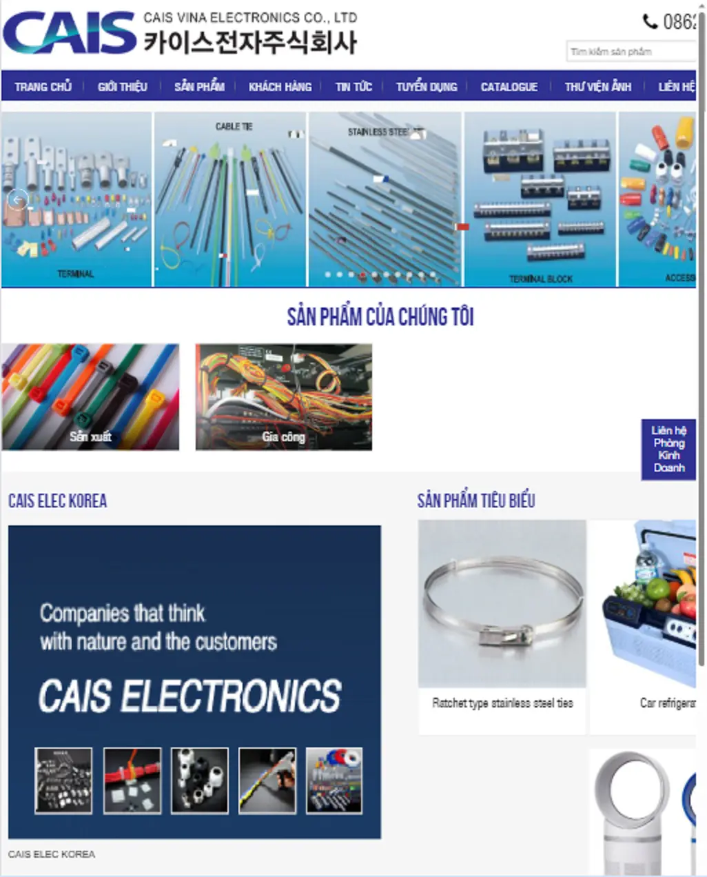 Thiết kế website Công ty Cais Vina